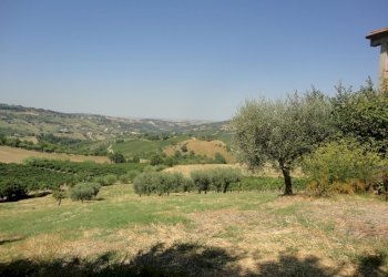 Foto 1 - Agricultural land Brecciole, Cupramontana - photo 1