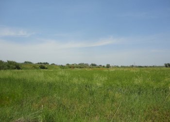 Foto 1 - Agricultural land via coppetella, Jesi - photo 1