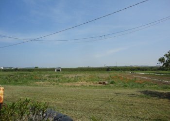 Foto 3 - Agricultural land via coppetella, Jesi - photo 3