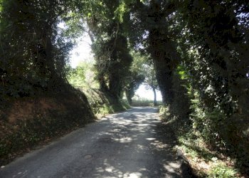 Foto 19 - Villa contrada san lorenzo, Montecarotto - foto 19