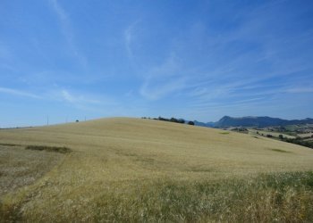 Foto 1 - Agricultural land santa maria del monte, Poggio San Marcello - photo 1