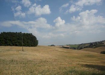 Foto 16 - Villa via Budasse
 
11, Belvedere Ostrense - foto 16