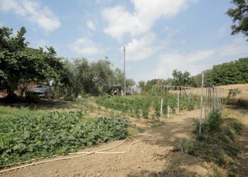 Foto 20 - Villa via Budasse
 
11, Belvedere Ostrense - foto 20