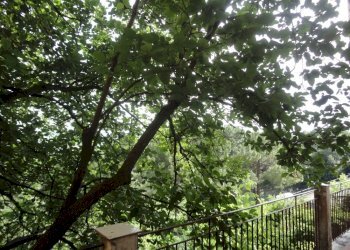 Foto 9 - Appartamento Piazza Ruggeri
 
4, Monte Roberto - foto 9