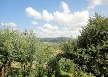 Foto 3 - Villa via santa Maria delle Grazie
 
2, Serra San Quirico - foto 3