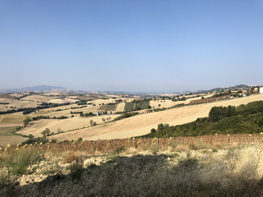 Foto 1 - Rustico santa lucia, Recanati - foto 1