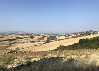 Foto 1 - Rustico santa lucia, Recanati - foto 1