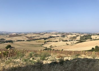 Foto 5 - Rustico santa lucia, Recanati - foto 4