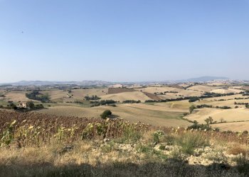 Foto 6 - Rustico santa lucia, Recanati - foto 5