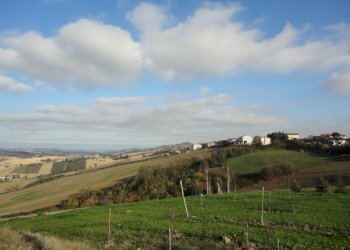 Foto 7 - Rustico santa lucia, Recanati - foto 6