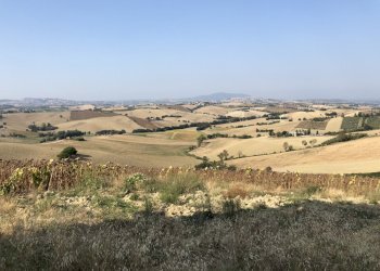 Foto 10 - Rustico santa lucia, Recanati - foto 8