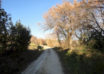 Foto 16 - Rustico via melano, San Marcello - foto 11