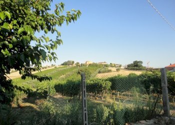 Foto 2 - Rustico via Santa Maria del Fiore
 
20, Morro d'Alba - foto 2