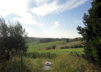 Foto 11 - Villa Via Santa Caterina
 
2, Belvedere Ostrense - foto 11