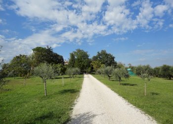 Foto 10 - Villa via fonte del ragosto
 
3, Ostra - foto 10