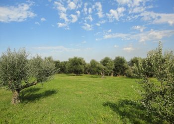 Foto 12 - Villa via fonte del ragosto
 
3, Ostra - foto 12