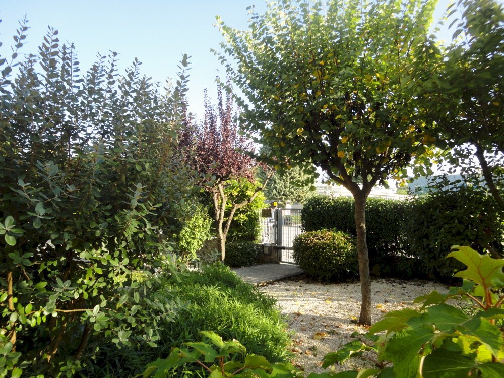 Foto 3 - Ufficio via  gallodoro
 
70, Jesi - foto 3