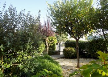 Foto 3 - Office via  gallodoro
 
70, Jesi - photo 3