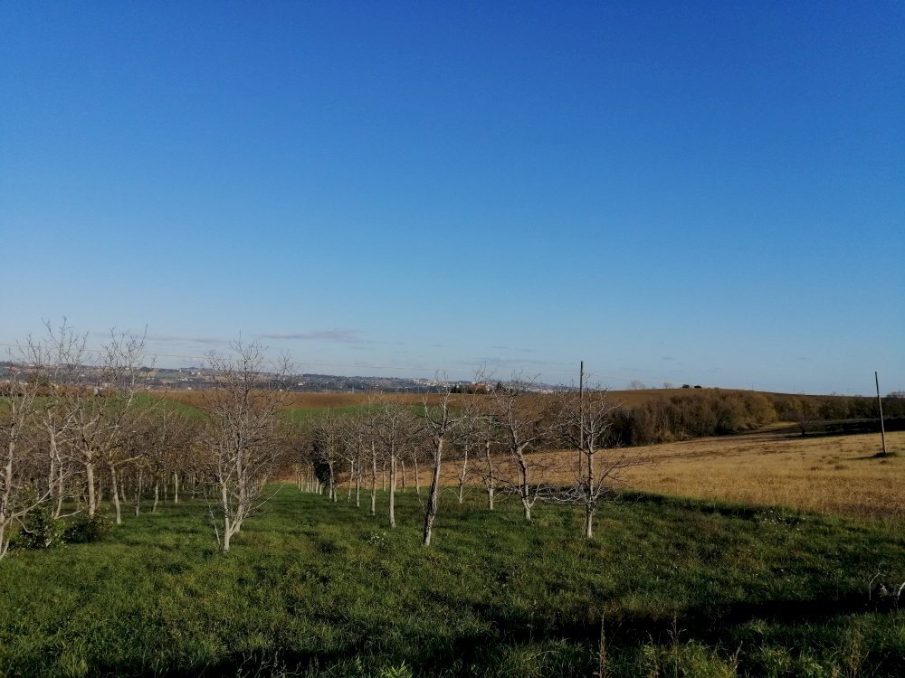 Foto 1 - Agricultural land contrada Coste, San Paolo di Jesi - photo 1