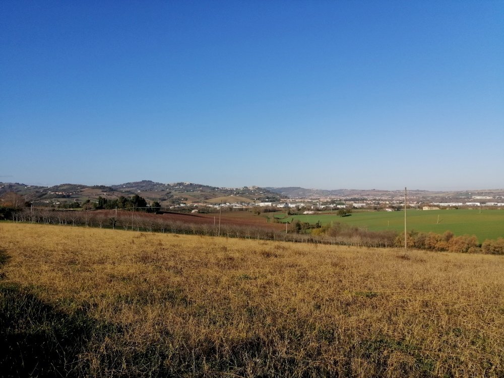 Foto 3 - Agricultural land contrada Coste, San Paolo di Jesi - photo 3