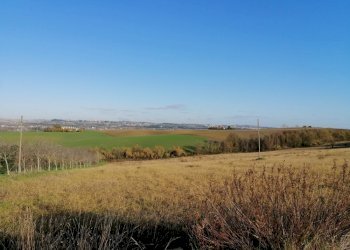 Foto 4 - Agricultural land contrada Coste, San Paolo di Jesi - photo 4