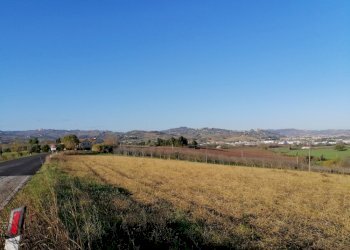 Foto 5 - Agricultural land contrada Coste, San Paolo di Jesi - photo 5