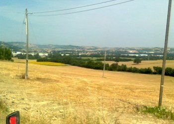 Foto 6 - Agricultural land contrada Coste, San Paolo di Jesi - photo 6