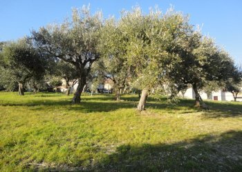 Foto 4 - Rustico via Madonna della neve, Monte Roberto - foto 4