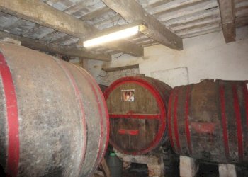 Foto 6 - Rustico via Madonna della neve, Monte Roberto - foto 6