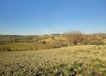 Foto 2 - Rustico Via Agraria
 
41, Jesi - foto 2