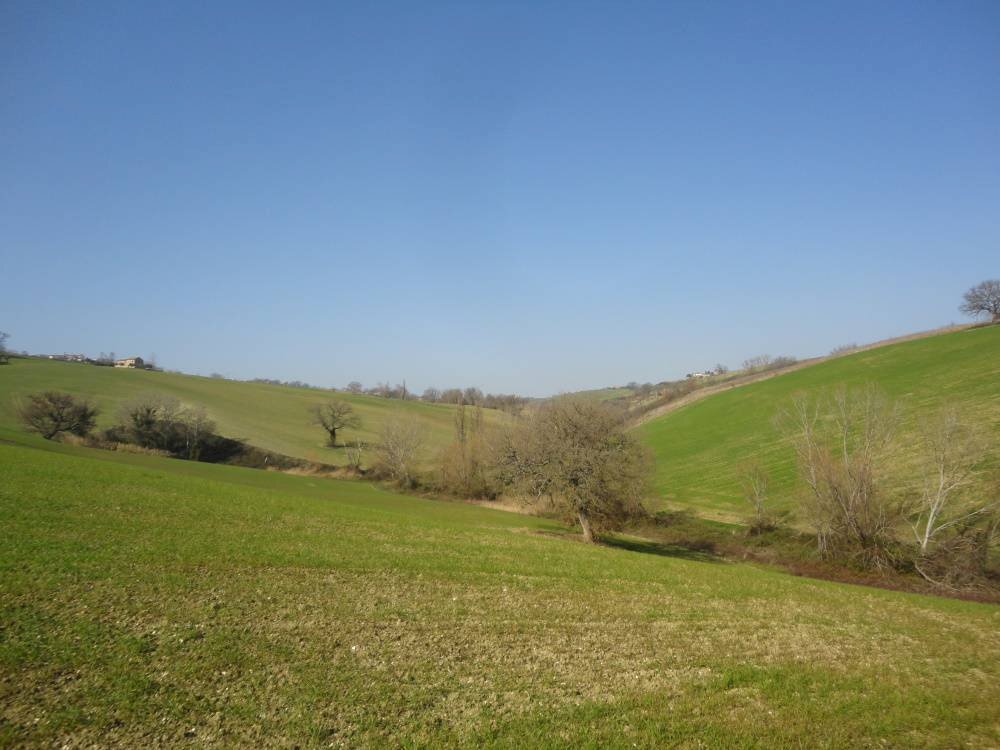 Foto 3 - Rustic Bia Breccione, Staffolo - photo 3