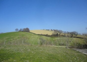 Foto 4 - Rustico Bia Breccione, Staffolo - foto 4