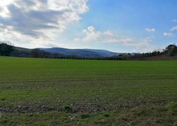 Foto 5 - Rustico Bia Breccione, Staffolo - foto 5