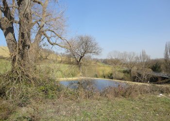 Foto 8 - Rustico Bia Breccione, Staffolo - foto 8