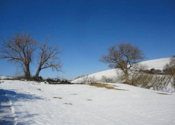 Foto 19 - Rustico Bia Breccione, Staffolo - foto 19