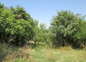 Foto 8 - Rustico Via Castellaro
 
8, Mergo - foto 8