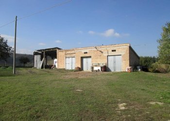 Foto 4 - Rustico via Gangalia Bassa, Jesi - foto 4