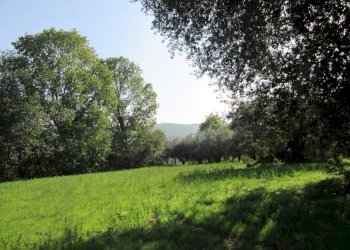 Foto 10 - Rustico via Gangalia Bassa, Jesi - foto 9