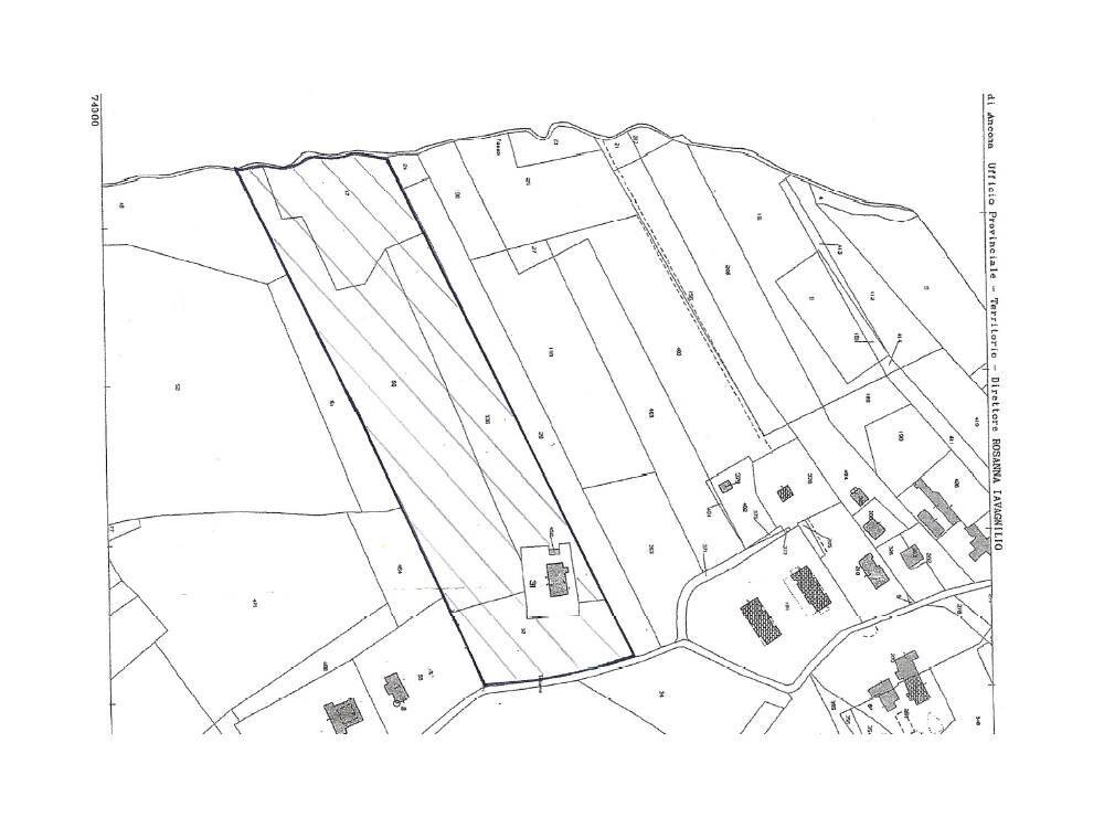 Foto 7 - Agricultural land via Tabano
 
42, Jesi - floor plans 1