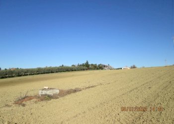 Foto 3 - Agricultural land via Tabano
 
42, Jesi - photo 3