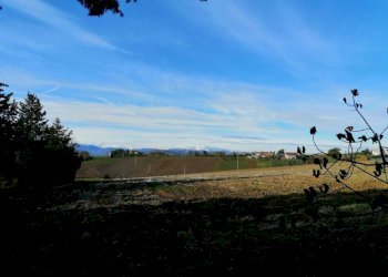 Foto 5 - Agricultural land via Tabano
 
42, Jesi - photo 5