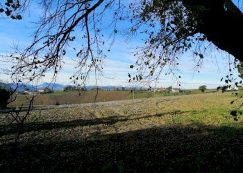 Foto 6 - Agricultural land via Tabano
 
42, Jesi - photo 6