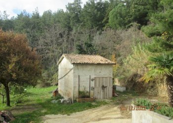 Foto 15 - Villa Coste del Mulino, Poggio San Marcello - foto 15