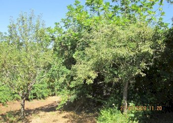 Foto 5 - Locale Commerciale Viale Liberta
 
56, Cupramontana - foto 5