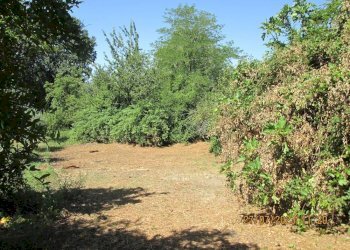 Foto 10 - Locale Commerciale Viale Liberta
 
56, Cupramontana - foto 10