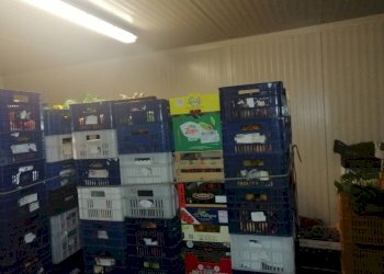 Foto 6 - Capannone Via Liguria, Monsano - foto 5