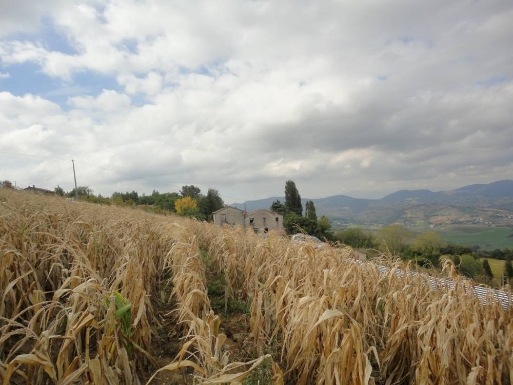 Foto 3 - Agriturismo Via Santa Maria del Monte
 
10, Poggio San Marcello - foto 3