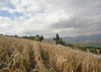 Foto 3 - Agriturismo Via Santa Maria del Monte
 
10, Poggio San Marcello - foto 3