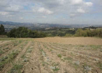 Foto 6 - Agriturismo Via Santa Maria del Monte
 
10, Poggio San Marcello - foto 6