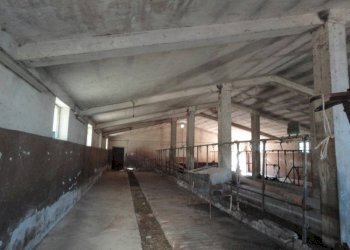 Foto 11 - Rustic Colognola, Cingoli - photo 11